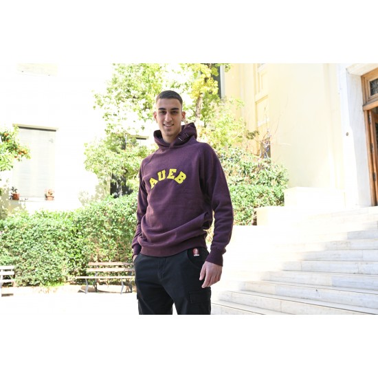 Φούτερ με κουκούλα με κεντημένο λογότυπο