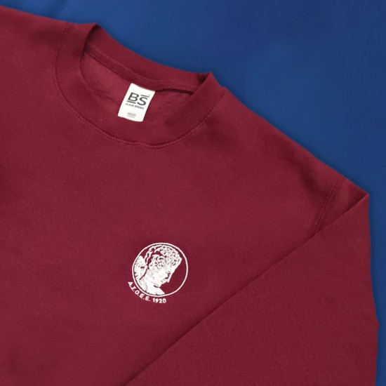 Μπλούζα μπορντό Α.Σ.Ο.Ε.Ε. 1920