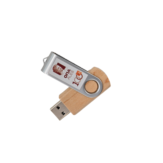 USB Stick 8GB